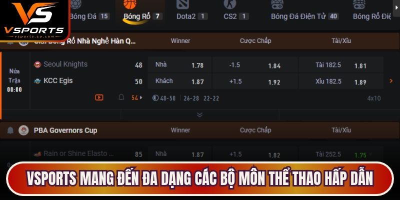 VSports mang đến đa dạng các bộ môn thể thao hấp dẫn